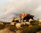 A Cow And Sheep On The Cliffs - 托马斯·辛德尼·库珀